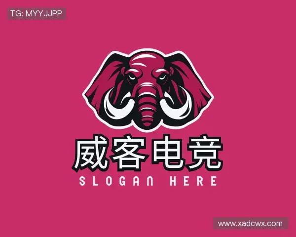 了解威客电竞